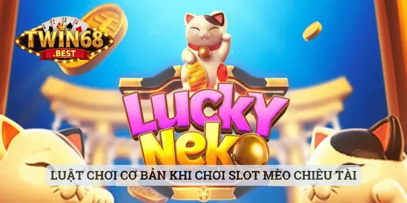 Luật chơi cơ bản khi chơi slot Mèo Chiêu Tài